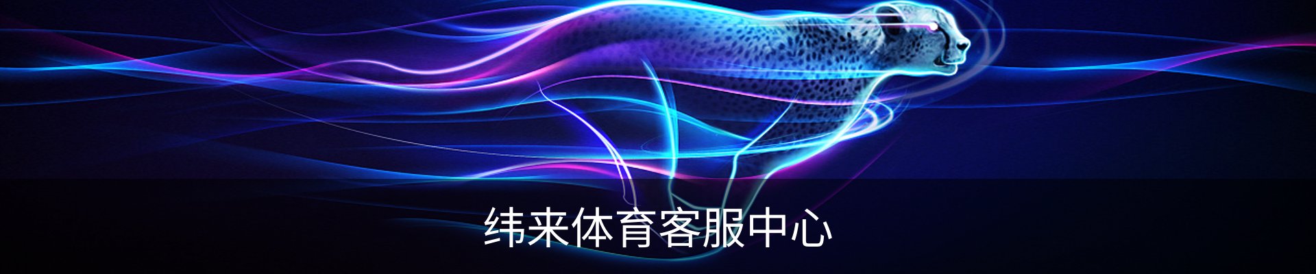 纬来体育客服中心